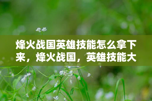 烽火战国英雄技能怎么拿下来，烽火战国，英雄技能大揭秘