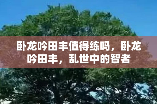 卧龙吟田丰值得练吗，卧龙吟田丰，乱世中的智者