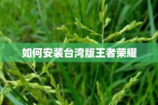如何安装台湾版王者荣耀图片