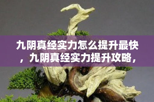 九阴真经实力怎么提升最快,九阴真经实力提升攻略,从入门到高手的全方位指南 九阴真经实力怎么提升最快,九阴真经实力提升攻略,从入门到高手的全方位指南