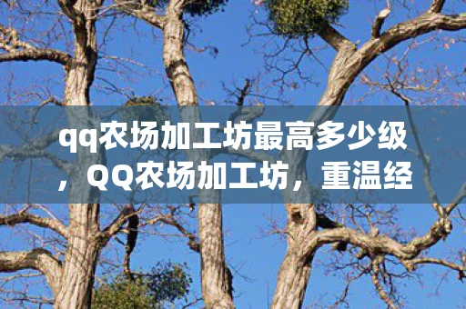 qq农场加工坊最高多少级,QQ农场加工坊,重温经典,打造个性化农场体验 qq农场加工坊最高多少级,QQ农场加工坊,重温经典,打造个性化农场体验