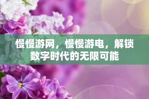 慢慢游网，慢慢游电，解锁数字时代的无限可能