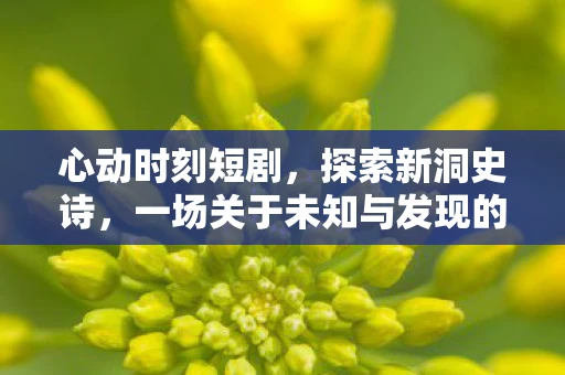 心动时刻短剧，探索新洞史诗，一场关于未知与发现的旅程