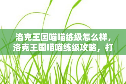 洛克王国喵喵练级怎么样，洛克王国喵喵练级攻略，打造最强宠物