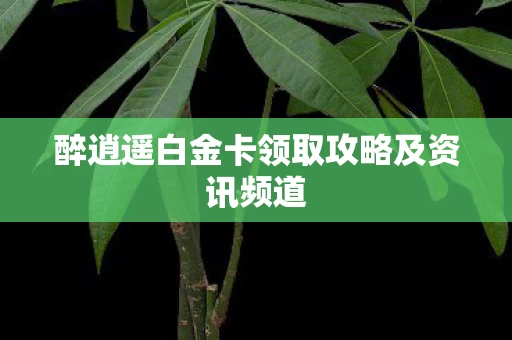醉逍遥白金卡领取攻略及资讯频道图片