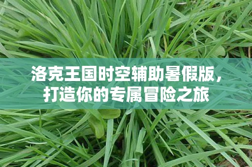 洛克王国时空辅助暑假版，打造你的专属冒险之旅