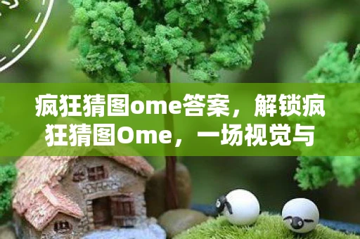 疯狂猜图ome答案，解锁疯狂猜图Ome，一场视觉与智力的双重盛宴