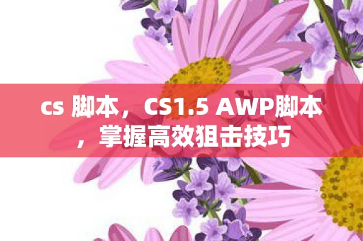 cs 脚本，CS1.5 AWP脚本，掌握高效狙击技巧