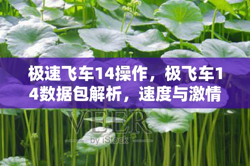 极速飞车14操作，极飞车14数据包解析，速度与激情的极致追求