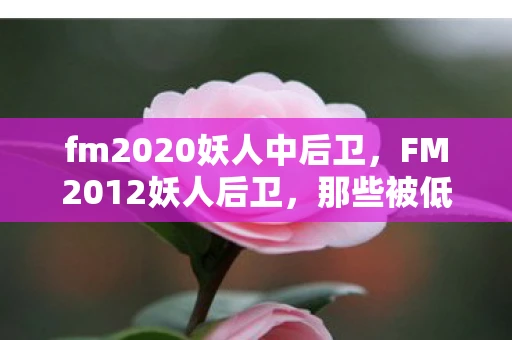 fm2020妖人中后卫,FM2012妖人后卫,那些被低估的足球天才 fm2020妖人中后卫,FM2012妖人后卫,那些被低估的足球天才