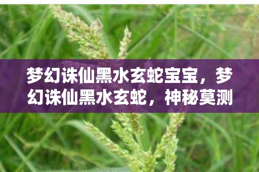 梦幻诛仙黑水玄蛇宝宝，梦幻诛仙黑水玄蛇，神秘莫测的古老传说