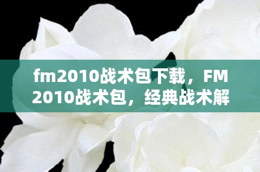 fm2010战术包下载，FM2010战术包，经典战术解析与实战应用