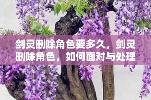 剑灵删除角色要多久,剑灵删除角色,如何面对与处理的指南 剑灵删除角色要多久,剑灵删除角色,如何面对与处理的指南