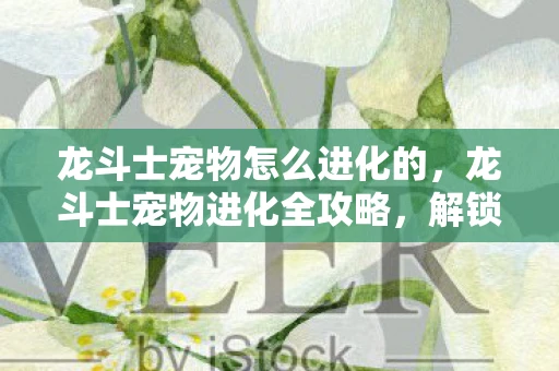 龙斗士宠物怎么进化的，龙斗士宠物进化全攻略，解锁你的宠物潜能！