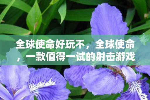 全球使命好玩不，全球使命，一款值得一试的射击游戏