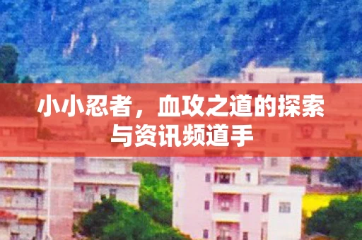 血攻之道的探索与资讯频道手图片