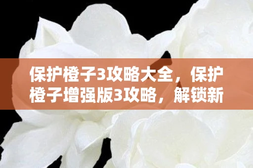 保护橙子3攻略大全，保护橙子增强版3攻略，解锁新挑战，成就高分传奇