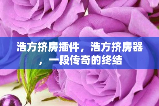 浩方挤房插件，浩方挤房器，一段传奇的终结