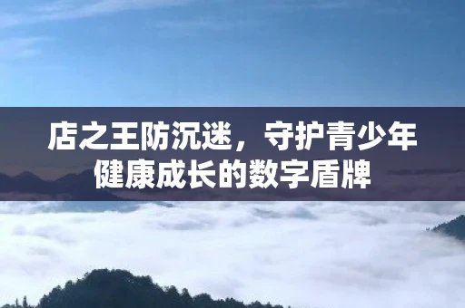 店之王防沉迷,守护青少年健康成长的数字盾牌 店之王防沉迷,守护青少年健康成长的数字盾牌