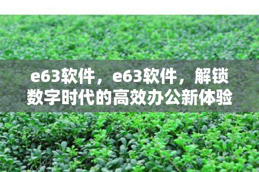 e63软件,e63软件,解锁数字时代的高效办公新体验 e63软件,e63软件,解锁数字时代的高效办公新体验