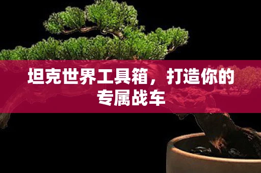 坦克世界工具箱，打造你的专属战车