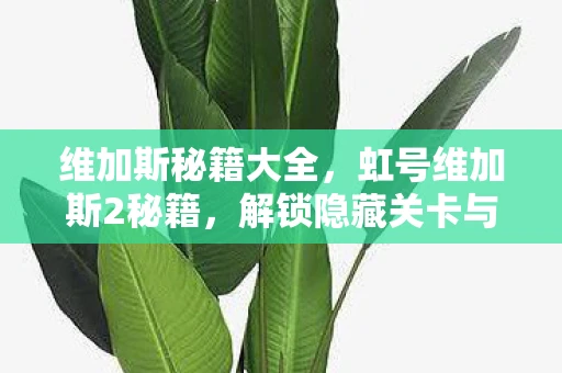 维加斯秘籍大全,虹号维加斯2秘籍,解锁隐藏关卡与角色攻略 维加斯秘籍大全,虹号维加斯2秘籍,解锁隐藏关卡与角色攻略