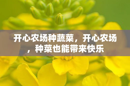 开心农场种蔬菜，开心农场，种菜也能带来快乐