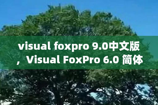 visual foxpro 9.0中文版，Visual FoxPro 6.0 简体中文版，经典数据库管理工具的回忆与解析