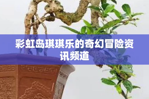 彩虹岛琪琪乐的奇幻冒险资讯频道图片