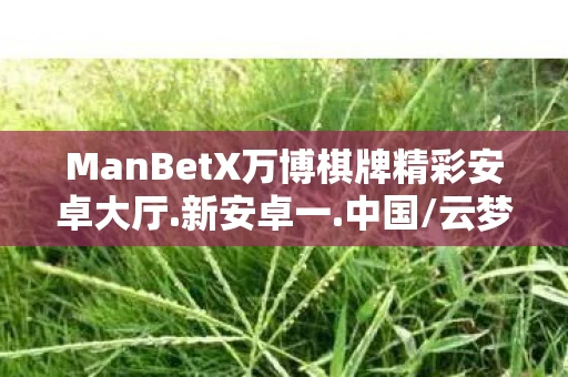 ManBetX万博棋牌精彩安卓大厅.新安卓一.中国/云梦,Manbetx万博,揭秘背后的风险与陷阱 ManBetX万博棋牌精彩安卓大厅.新安卓一.中国/云梦,Manbetx万博,揭秘背后的风险与陷阱