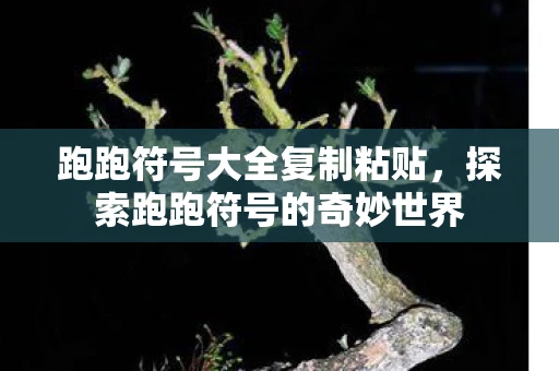 跑跑符号大全复制粘贴，探索跑跑符号的奇妙世界