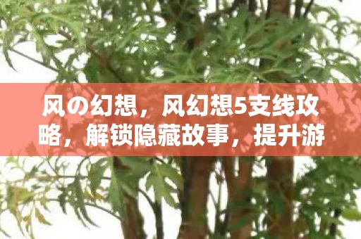 风の幻想,风幻想5支线攻略,解锁隐藏故事,提升游戏乐趣 风の幻想,风幻想5支线攻略,解锁隐藏故事,提升游戏乐趣