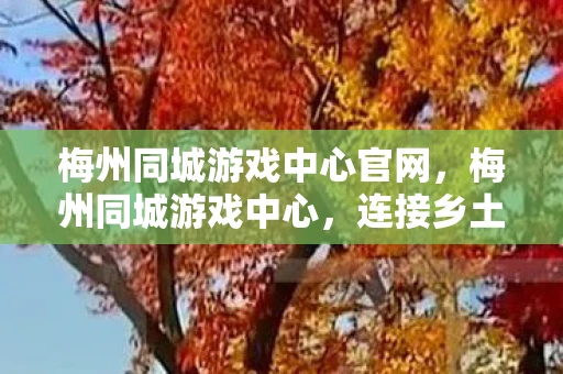 梅州同城游戏中心官网,梅州同城游戏中心,连接乡土情感的数字桥梁 梅州同城游戏中心官网,梅州同城游戏中心,连接乡土情感的数字桥梁