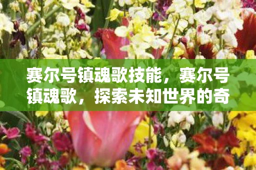 赛尔号镇魂歌技能，赛尔号镇魂歌，探索未知世界的奇幻之旅