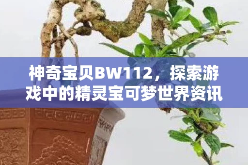 探索游戏中的精灵宝可梦世界资讯频道图片