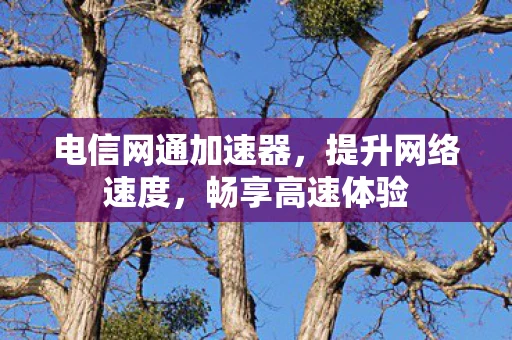 电信网通加速器，提升网络速度，畅享高速体验
