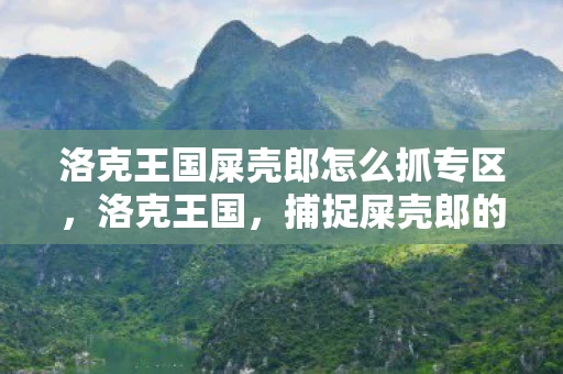 洛克王国屎壳郎怎么抓专区，洛克王国，捕捉屎壳郎的攻略指南