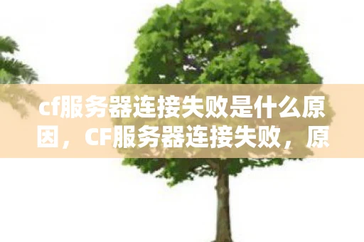 cf服务器连接失败是什么原因，CF服务器连接失败，原因分析与解决方案