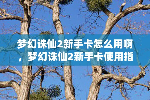 梦幻诛仙2新手卡怎么用啊，梦幻诛仙2新手卡使用指南，助你快速启程，畅游奇幻世界