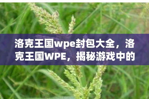 洛克王国wpe封包大全，洛克王国WPE，揭秘游戏中的神秘力量