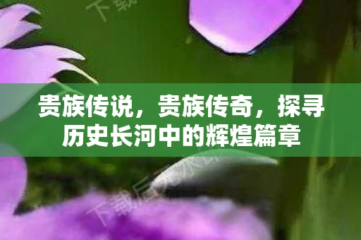 贵族传说，贵族传奇，探寻历史长河中的辉煌篇章