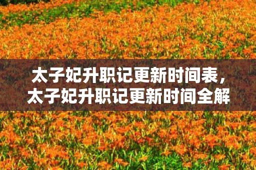 太子妃升职记更新时间表,太子妃升职记更新时间全解析 太子妃升职记更新时间表,太子妃升职记更新时间全解析