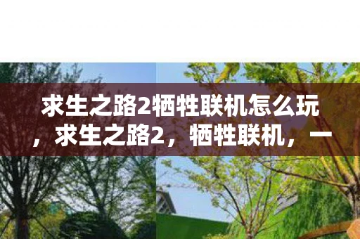求生之路2牺牲联机怎么玩,求生之路2,牺牲联机,一场生死与共的冒险 求生之路2牺牲联机怎么玩,求生之路2,牺牲联机,一场生死与共的冒险