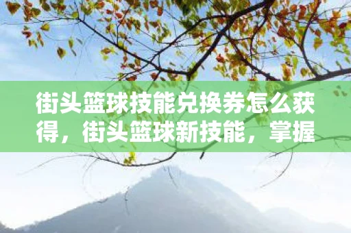 街头篮球技能兑换券怎么获得,街头篮球新技能,掌握这些技巧,让你在球场上大放异彩 街头篮球技能兑换券怎么获得,街头篮球新技能,掌握这些技巧,让你在球场上大放异彩
