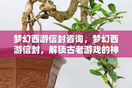 梦幻西游信封咨询，梦幻西游信封，解锁古老游戏的神秘宝藏