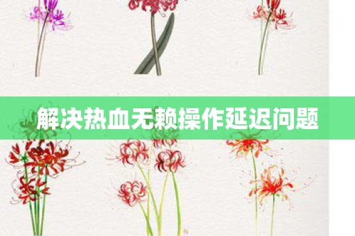 解决热血无赖操作延迟问题图片