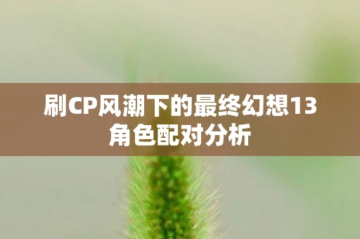 刷CP风潮下的最终幻想13角色配对分析 刷CP风潮下的最终幻想13角色配对分析
