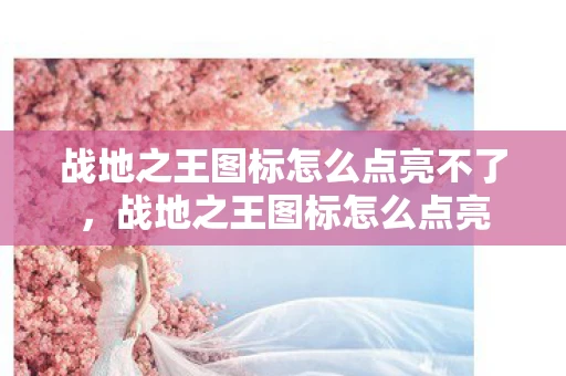 战地之王图标怎么点亮不了，战地之王图标怎么点亮