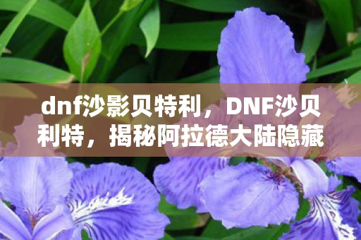 dnf沙影贝特利,DNF沙贝利特,揭秘阿拉德大陆隐藏的秘密 dnf沙影贝特利,DNF沙贝利特,揭秘阿拉德大陆隐藏的秘密