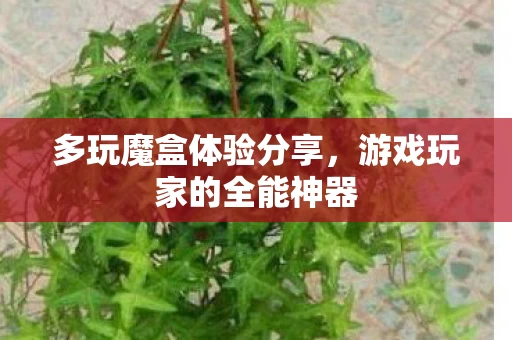 游戏玩家的全能神器图片
